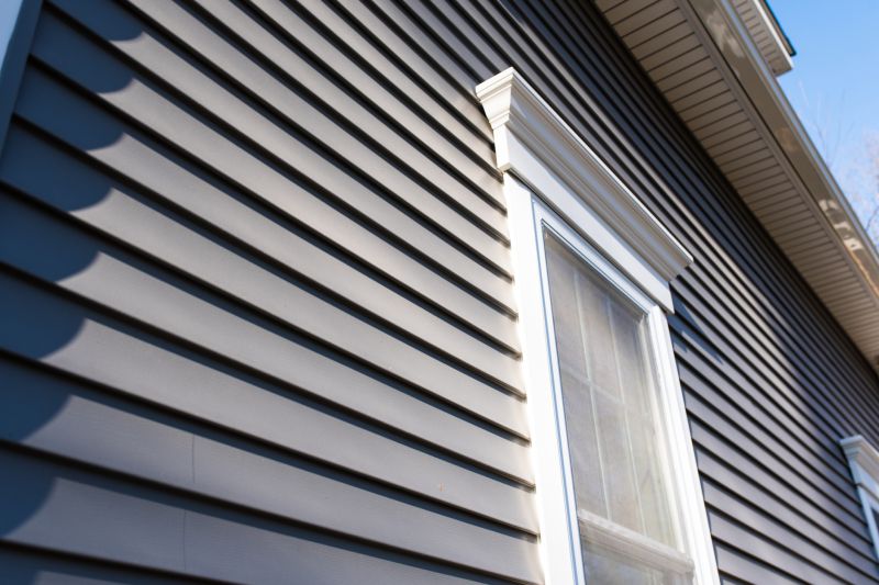 Vinyl Siding Options